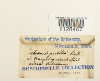 Image Associated With the Occurrence