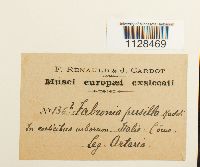 Image Associated With the Occurrence