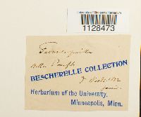 Image Associated With the Occurrence