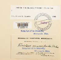 thumbnail image of current specimen