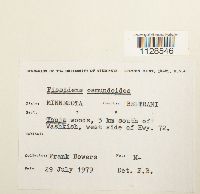 Thumbnail image of current specimen