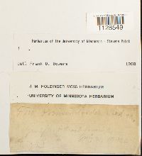 thumbnail image of current specimen