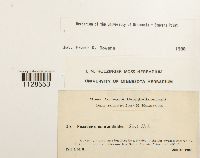 thumbnail image of current specimen