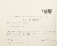 thumbnail image of current specimen