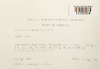 Thumbnail image of current specimen