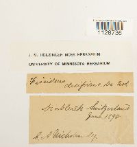 Image Associated With the Occurrence