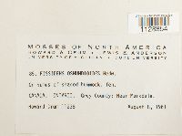 Image Associated With the Occurrence