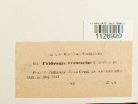 Image Associated With the Occurrence