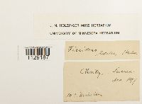 Thumbnail image of current specimen