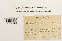 thumbnail image of current specimen
