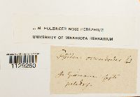 thumbnail image of current specimen