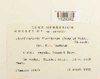 Image Associated With the Occurrence