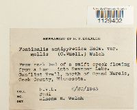 Image Associated With the Occurrence