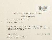 Fontinalis novae-angliae image