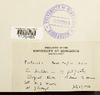 Fontinalis novae-angliae image