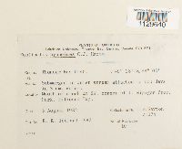 Fontinalis hypnoides image