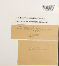 Image Associated With the Occurrence