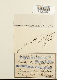 Media resource of Fontinalis dalecarlica