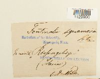 Image Associated With the Occurrence