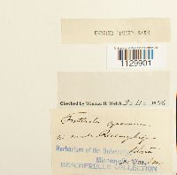 Image Associated With the Occurrence