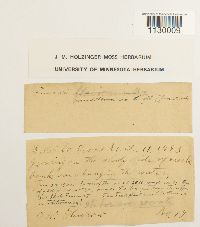 Funaria americana image