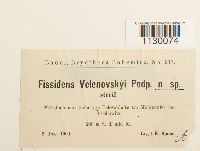 thumbnail image of current specimen