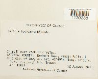 Funaria hygrometrica image