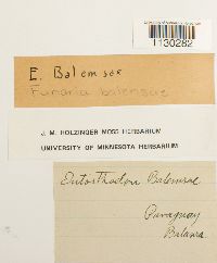 Image Associated With the Occurrence