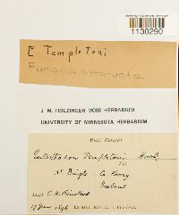 Image Associated With the Occurrence