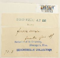 Funaria americana image