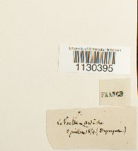 Image Associated With the Occurrence