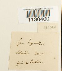 Image Associated With the Occurrence