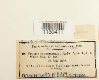 Image Associated With the Occurrence