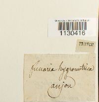 Image Associated With the Occurrence