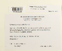 Grimmia laevigata image