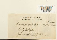 Image Associated With the Occurrence