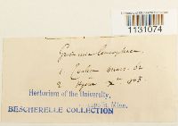 Image Associated With the Occurrence