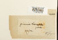 Image Associated With the Occurrence