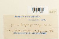 Image Associated With the Occurrence