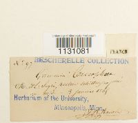 Image Associated With the Occurrence