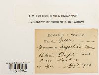 Image Associated With the Occurrence