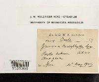 Image Associated With the Occurrence