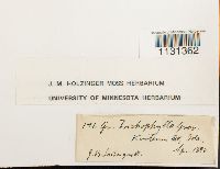 Image Associated With the Occurrence