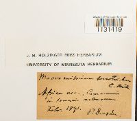 Image Associated With the Occurrence