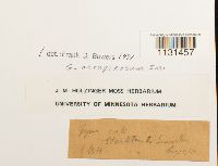 thumbnail image of current specimen