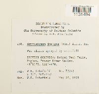 Image Associated With the Occurrence