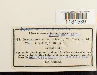 Image Associated With the Occurrence