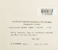 Image Associated With the Occurrence