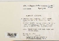 Hamatocaulis vernicosus image