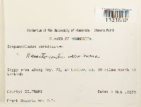 Hamatocaulis vernicosus image